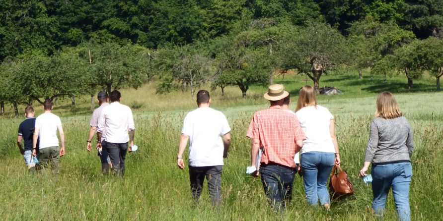 Menschen gehen bei Sonnenschein durch hohes Gras auf einer grünen Wiese Richtung Wald, einige mit Taschen.